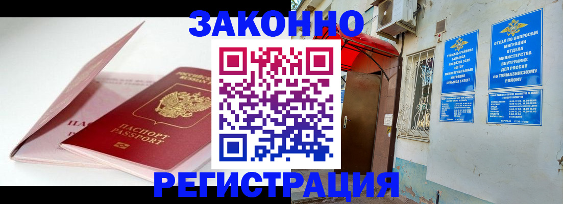 прописка гарантия в Апатитах